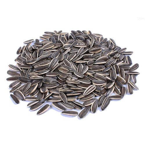 Melon Seeds Drying Process